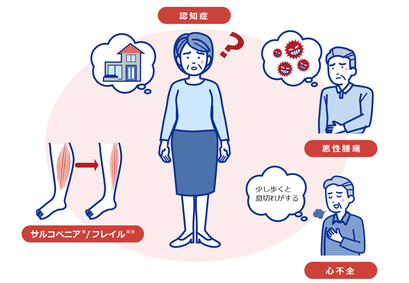 高齢者に多い主な併存症