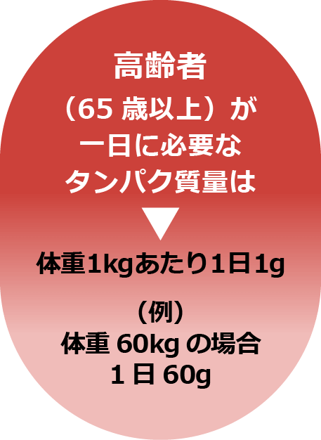 高齢者(65歳以上)が1日に必要なタンパク質の量