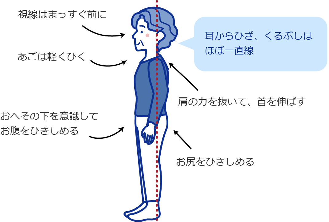 耳からひざ、くるぶしはほぼ一直線