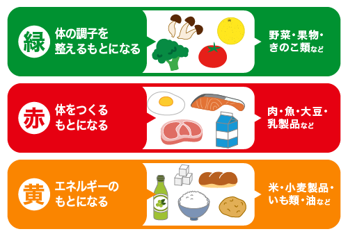 緑グループはカラダの様子をととのえる。赤グループはカラダをつくるもとになる。黄色グループはエネルギーのもとになる。