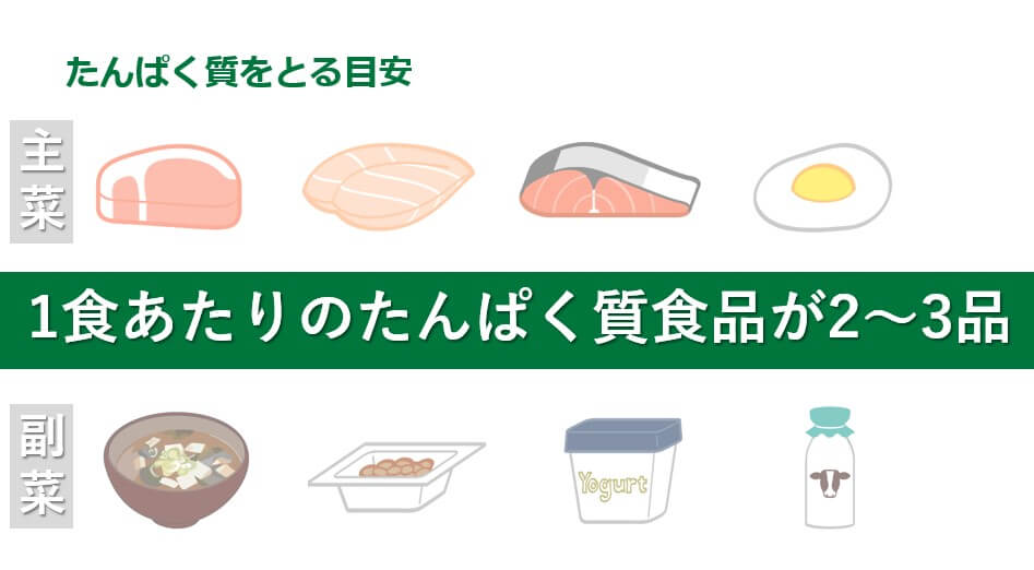1食あたりのタンパク質食品が2~3品