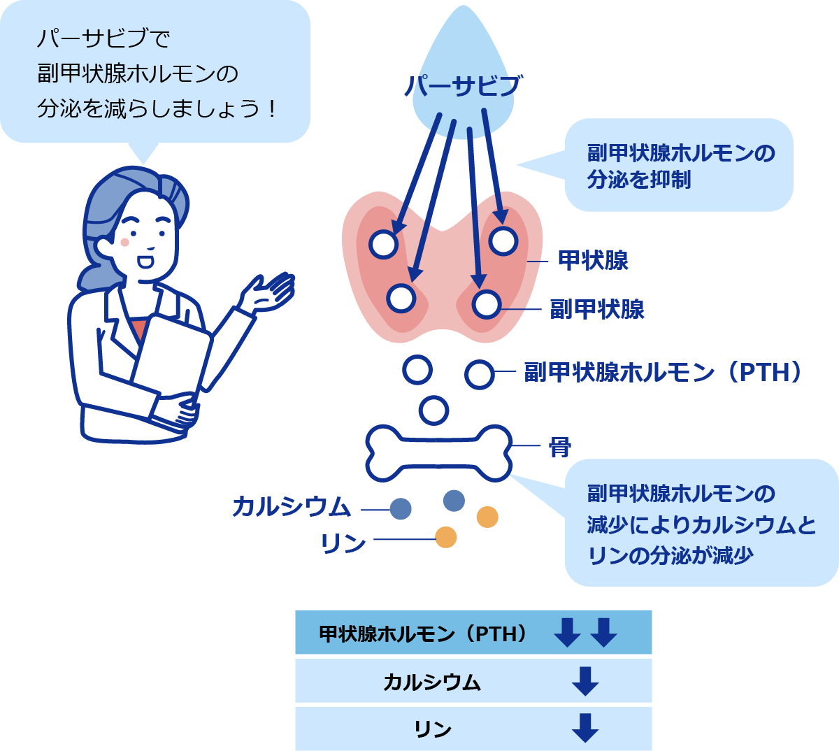パーサビブの働きについてのイラスト